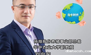 什么是养猪业的“乌卡时代”