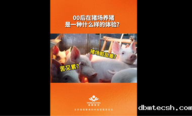   00后在猪场养猪是什么样的体验？